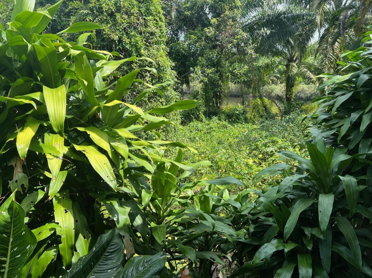 Thai Mueang Garden Bungalow Resort מראה חיצוני תמונה